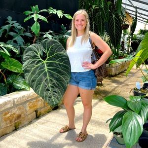 Meet your Posher, Alyssa